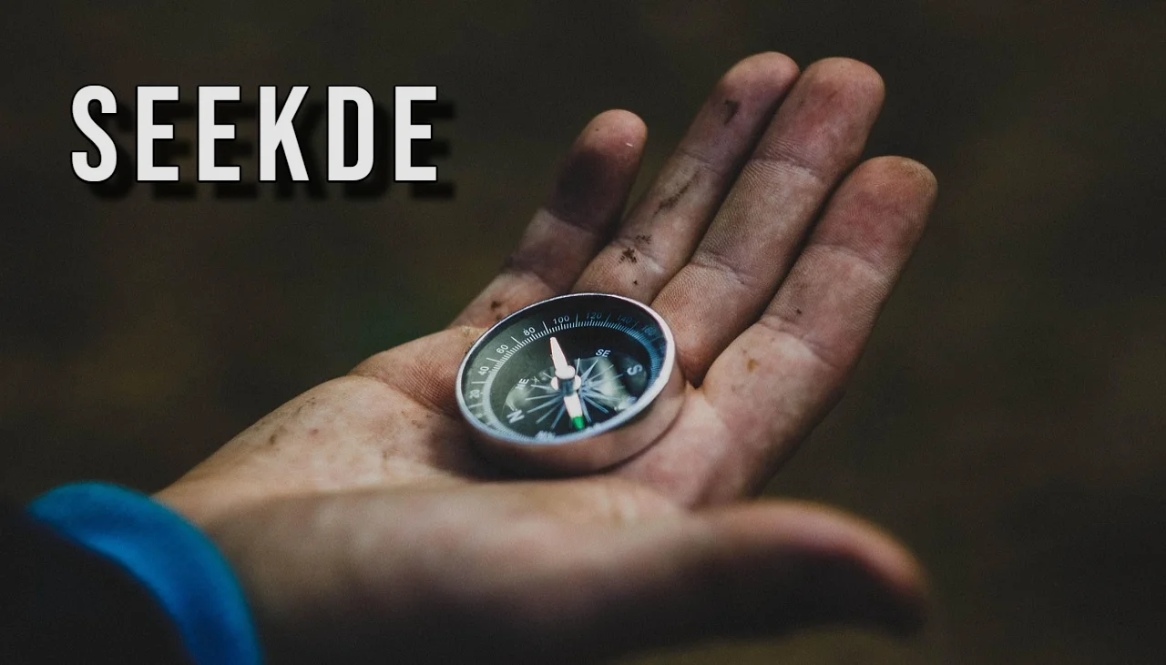 Seekde: A Complete Guide to the Digital Platform Transforming Online Experiences