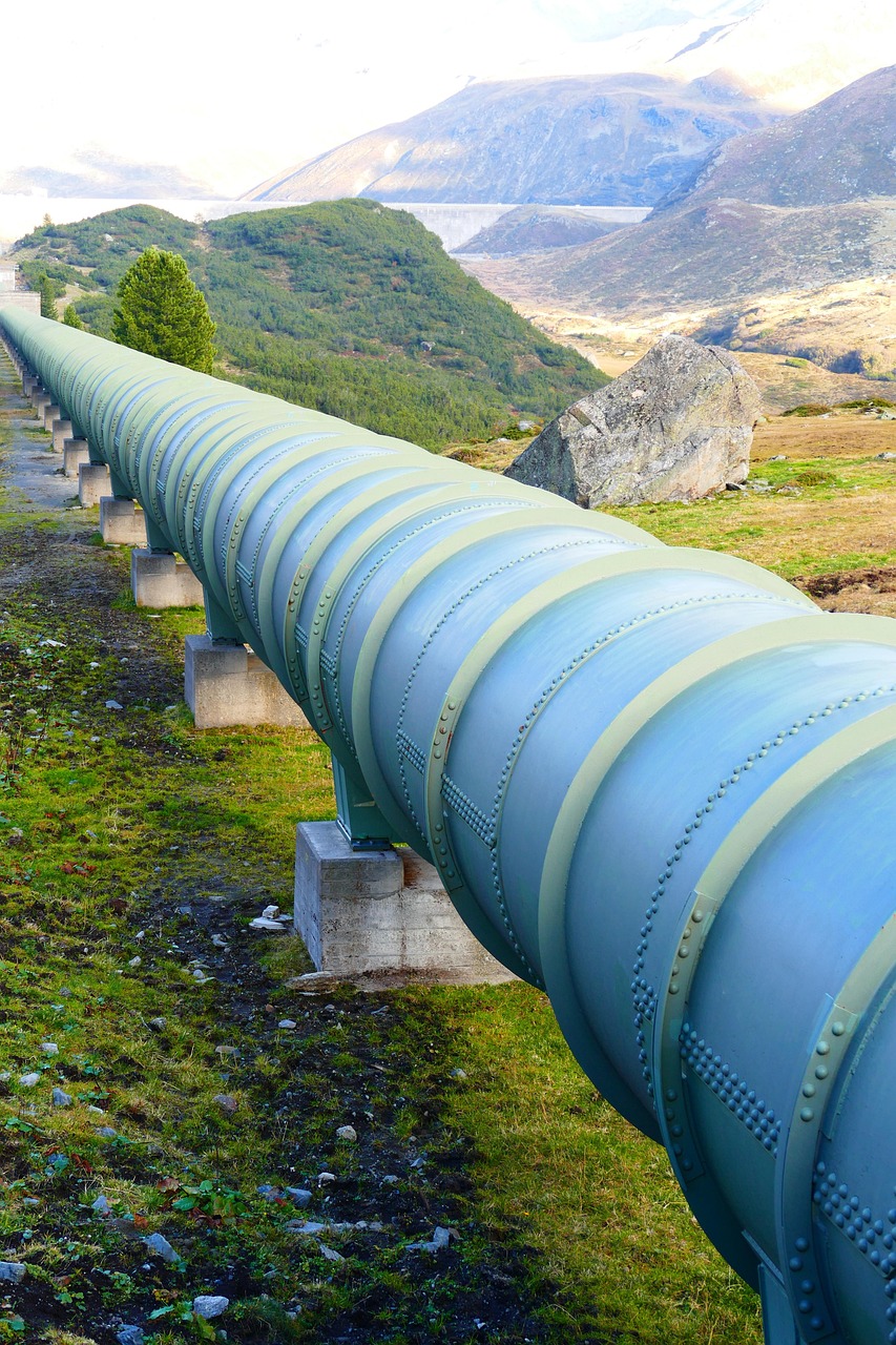 The Complete Guide to PLG Supplies: Fueling Growth in the Product-Led Era