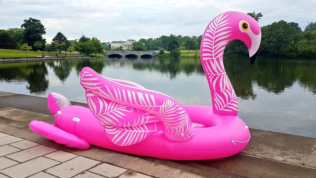 Floatmingo: From Playful Paddle Boats to Digital Adventure Icons