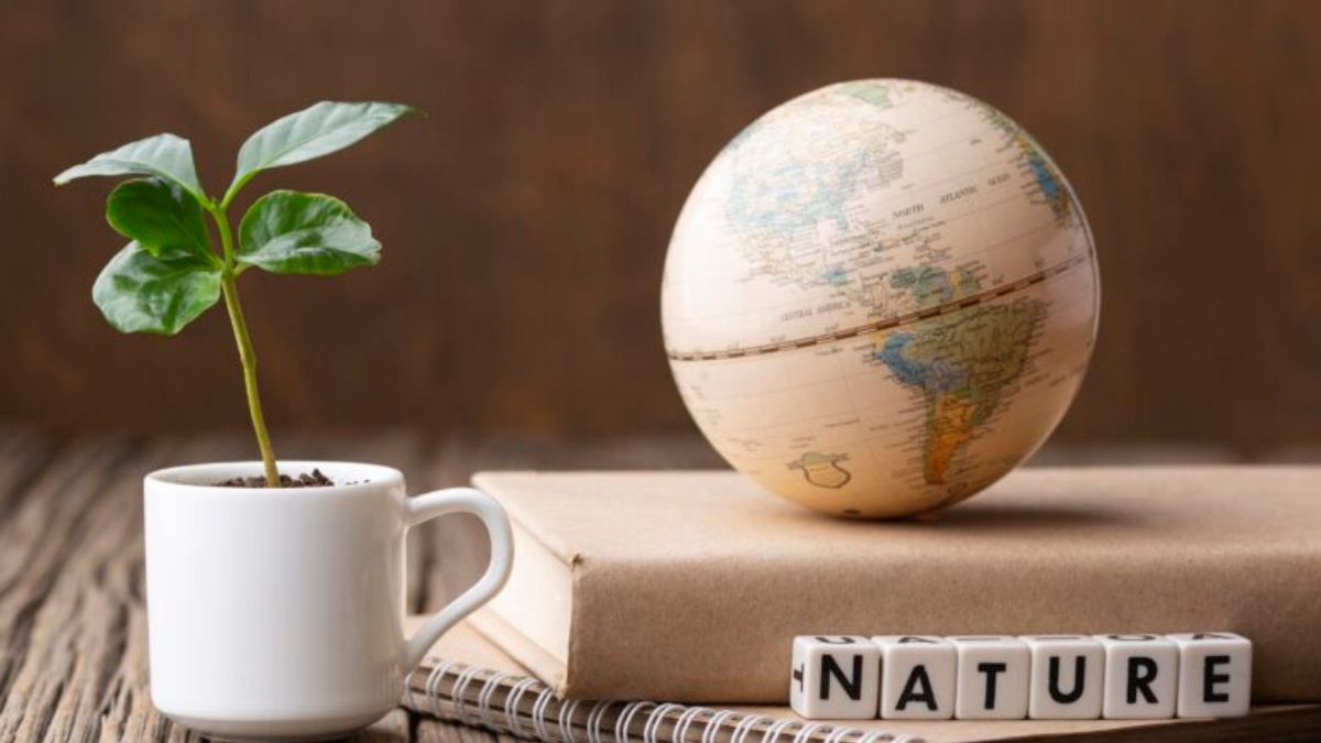 Simbramento: The Word of Connection and Shared Harmony